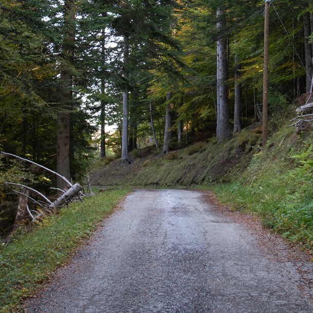 strada montagna lavori
